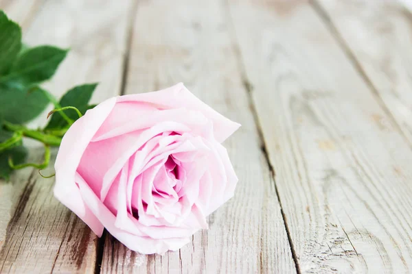Одна пастельная роза на деревянном фоне . — стоковое фото