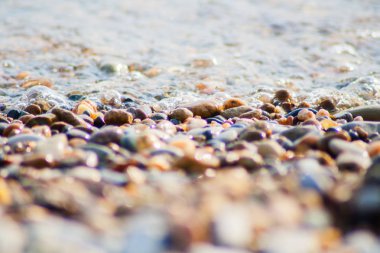 taşlar ve seaflow sahilde