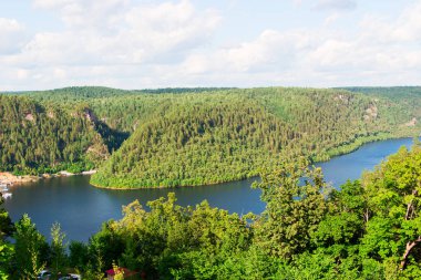 Güzel nehir orman arka plan üzerinde
