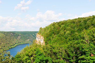 Güzel nehir orman arka plan üzerinde