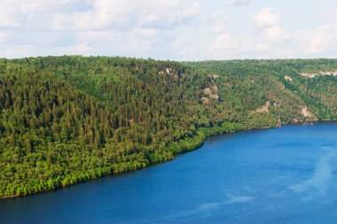 Güzel nehir orman arka plan üzerinde