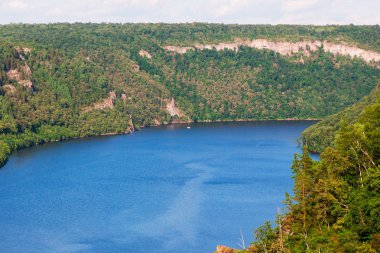 Güzel nehir orman arka plan üzerinde