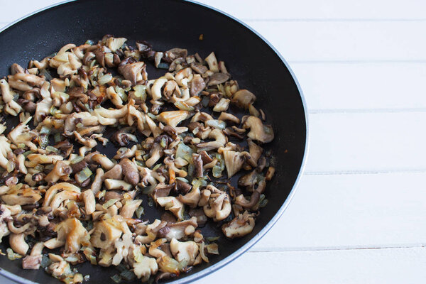 Коричневые устричные грибы белый фон
.