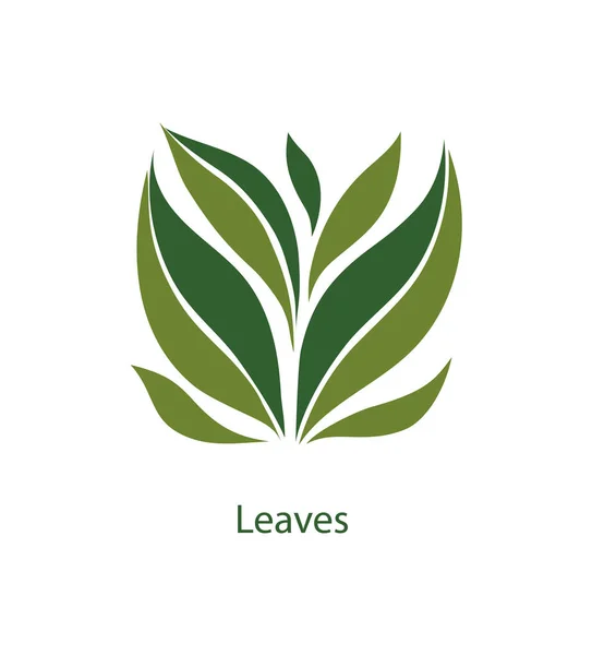 Зеленые листья деревьев и растений. Элементы для эко, органических и — стоковый вектор