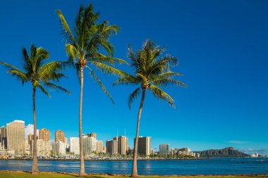 Waikiki Beach
