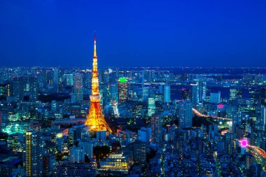 Tokyo night