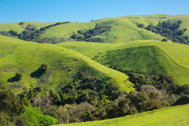 yuvarlanan yeşil tepeler