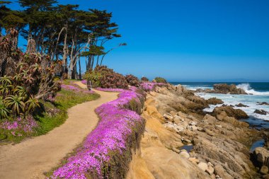 California mor