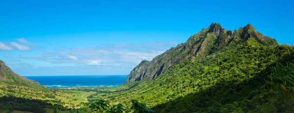 Hawaii-bergen Stockbild