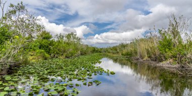 Everglades Ulusal Parkı