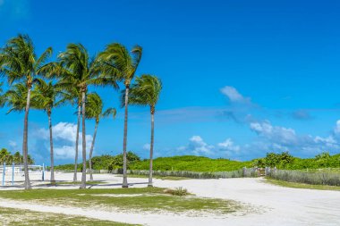 Miami Beach