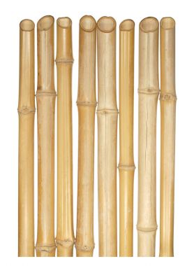 Çeşitli kalınlıklarda kuru bambu whit üzerinde izole gövdeleri