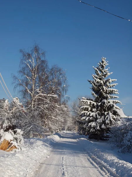 Winter road cleared of snow among the trees on a clear sunny day — Stock Photo, Image