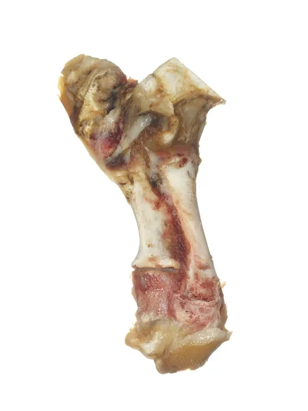 Velké vepřové kosti bez masa izolovaných na bílém pozadí. — Stock fotografie