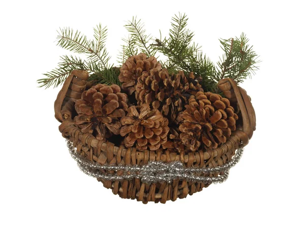 Decorative basket with fir cones and branches isolated on a whit — Stock Photo, Image