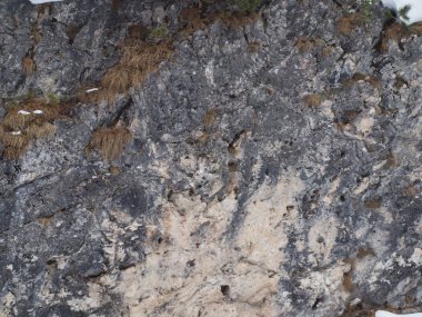 Gri tonlu Dolomite taş duvar