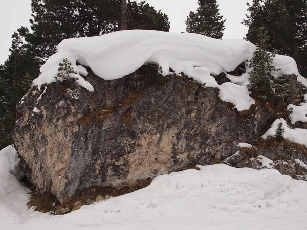 Grande pietra con erba rossa coperta di neve su uno sfondo di — Foto Stock