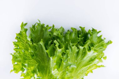 Beyaz Frillice buzdağı kapatmak