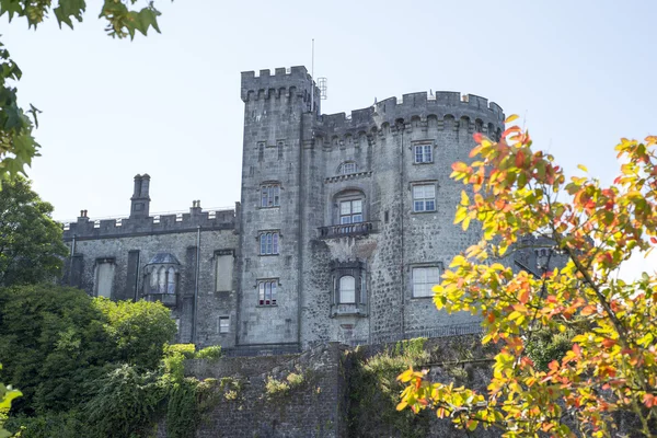 Árvores e vista ribeirinha do castelo kilkenny — Fotografia de Stock