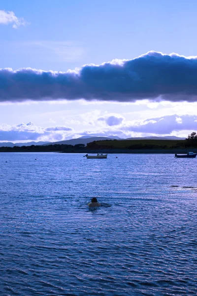 Homme nageant dans une baie calme près de kenmare — Photo