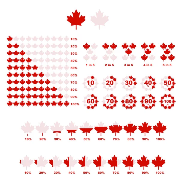 Infografische Elementen Die Een Canadees Esdoornblad Tonen Dat Verschillende Percentages — Stockvector