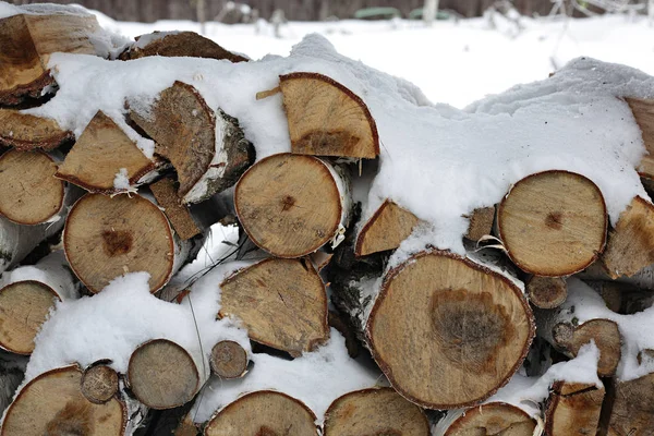 庭-雪の薪 — ストック写真