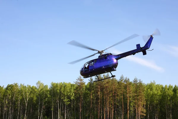 A aeronave - Helicóptero violeta faz voo em baixa altura . — Fotografia de Stock