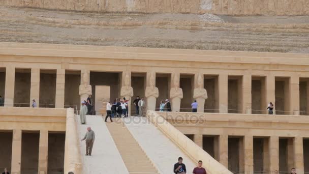 Posągi faraonów stoją wzdłuż tarasu — Wideo stockowe