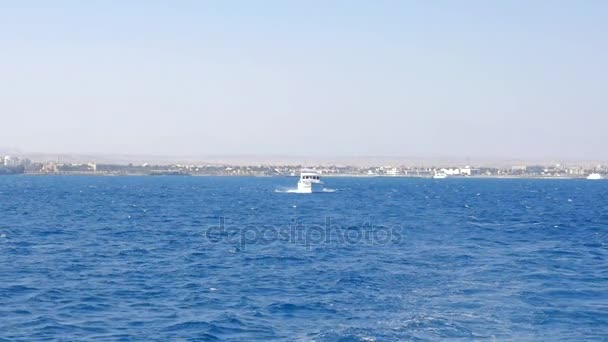 Voiles de bateau à moteur du côté de la ville — Video