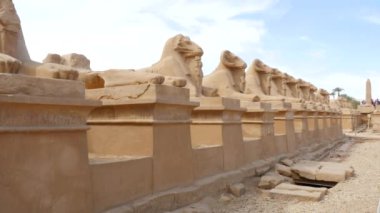 Koyunları bulutlu gökyüzü karşı heykelleri