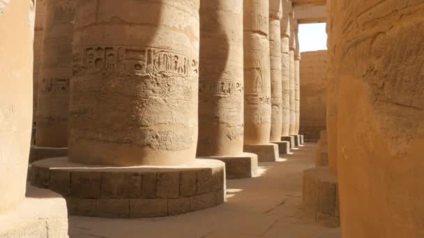 Vue du bâtiment historique à l'intérieur — Video