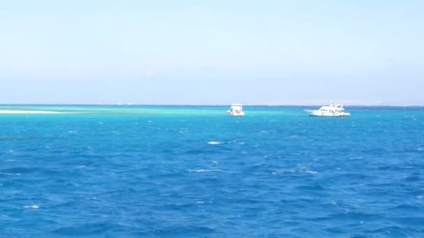 Zwei Yachten nicht weit voneinander entfernt — Stockvideo