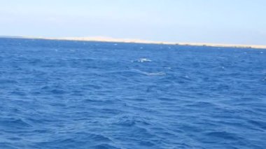 Mavi gökyüzü ve temiz su