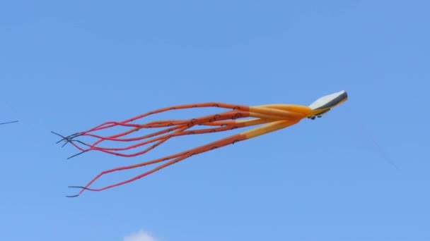 Aerial Kite - Χταπόδι στο Φεστιβάλ — Αρχείο Βίντεο