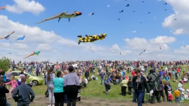 Festival de cerfs-volants en été — Video