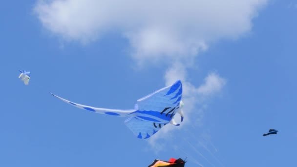 Grand cerf-volant aérien bleu — Video