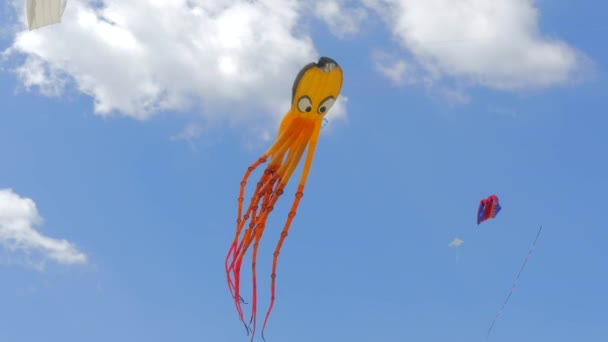 Octopus Shaped Kite From Below — Stock Video