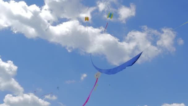 为带风筝的儿童准备的节日 — 图库视频影像