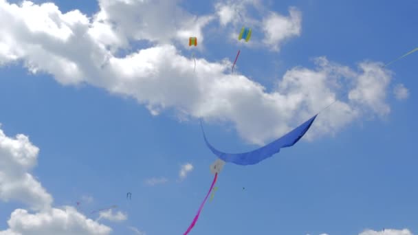 Fête pour les enfants avec cerfs-volants 