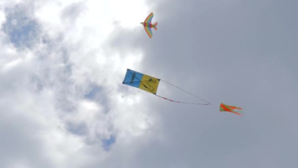 以雀鸟为形式的风筝 — 图库视频影像