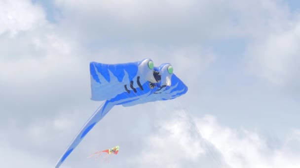 Stingray Shaped Kite Fly in the Air — Stock Video