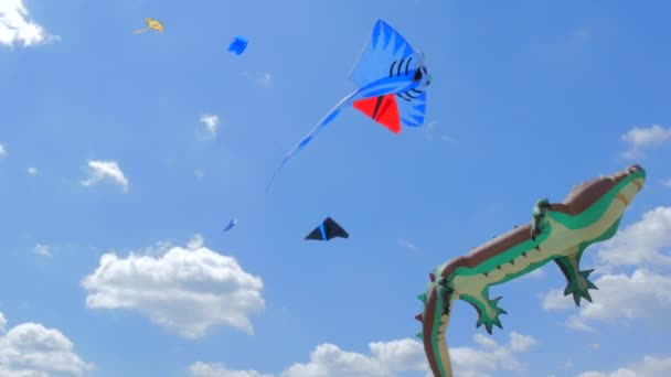 Big Festival of Kites in Ukraine — Stock Video