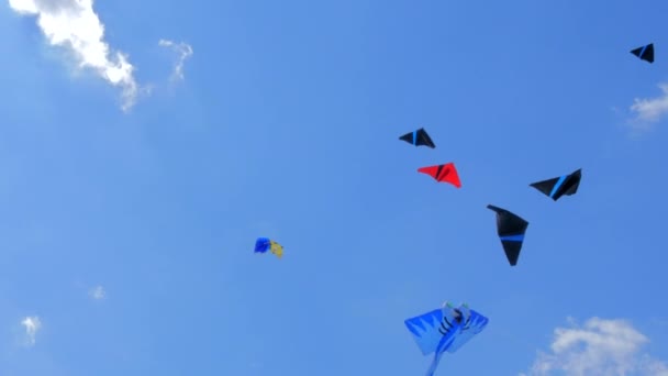 Festive Parade of Kites — Stock Video