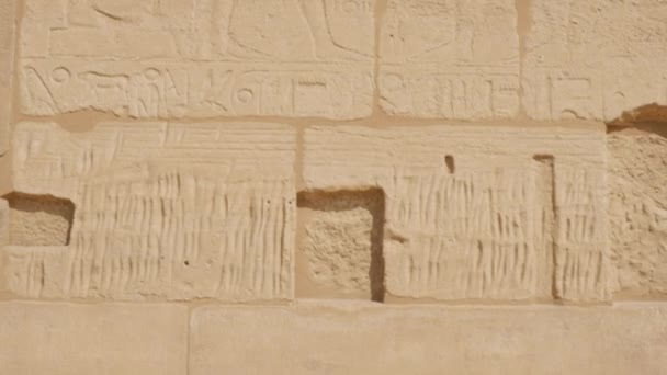 Изображение фараона на каменной стене — стоковое видео