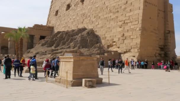 Turister i det egyptiska templet — Stockvideo