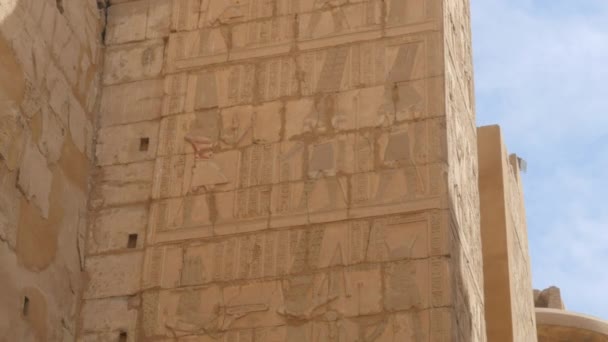 Imagem dos Faraós na Muralha — Vídeo de Stock