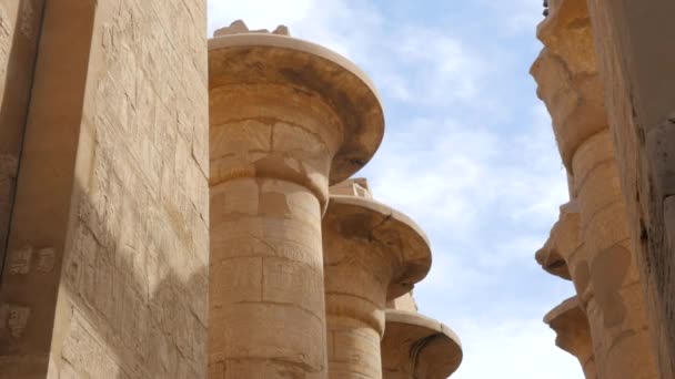 Vista en ángulo bajo de las columnas de un templo — Vídeos de Stock