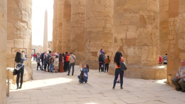 Grupo de Turistas Reunidos no Museu ao Ar Livre — Vídeo de Stock