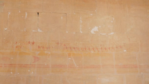 Images colorées de pharaons sont représentées sur le mur — Video