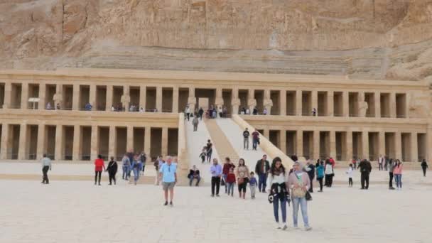 Obras-primas da Arte - Templo de Hatshepsuts — Vídeo de Stock